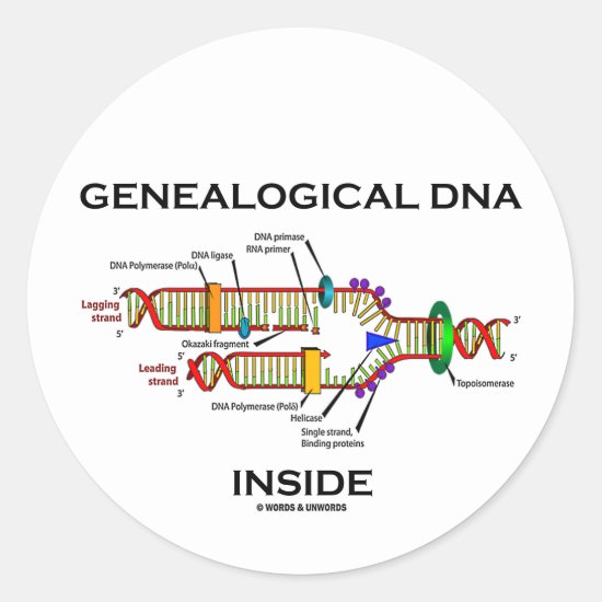 Genealogical DNA Inside (DNA Replication) Classic Round Sticker