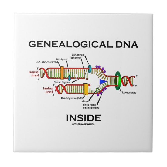 Genealogical DNA Inside (Genealogist Attitude) Tile