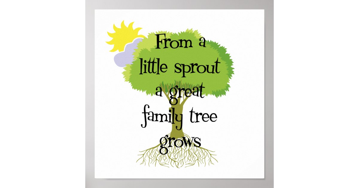 Genealogy Little  Sprout Family  Tree  Poster Zazzle com