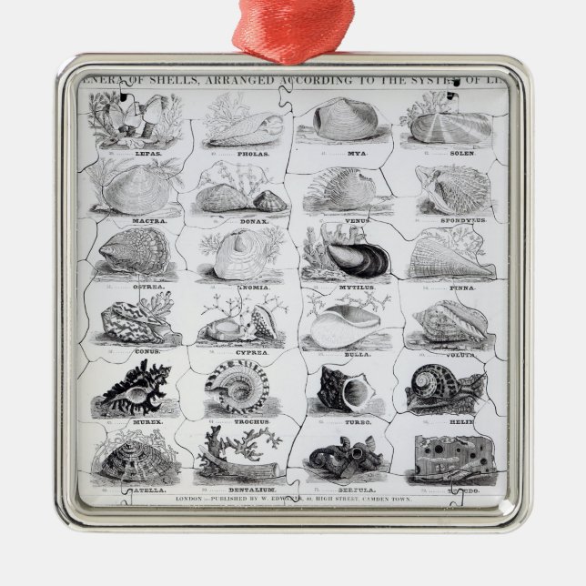 Genera of Shells jigsaw, pub. by W. Edwards Metal Ornament (Front)