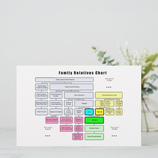 General Family Tree Organization of Relatives (Standing Front)