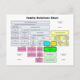 General Family Tree Organization of Relatives Postcard