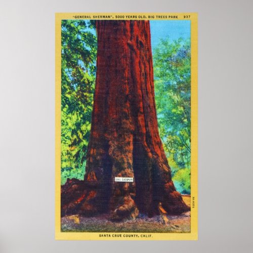 General Sherman 5000 Years Old Big Trees Park Poster