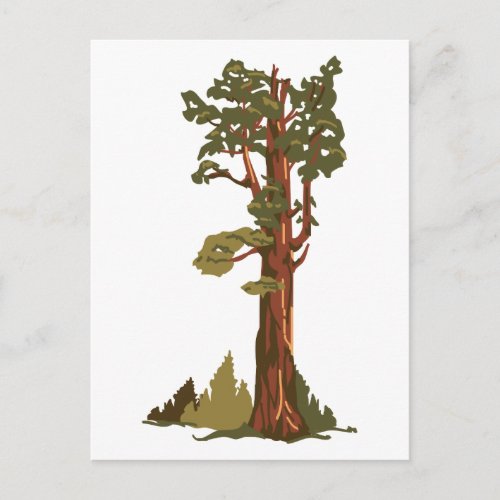 General Sherman Tree Postcard