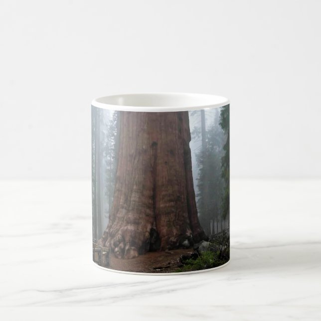 General Sherman Tree, Sequoia, CA Coffee Mug (Center)