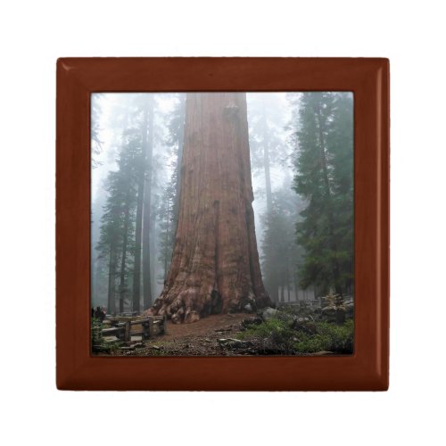 General Sherman Tree Sequoia CA Gift Box