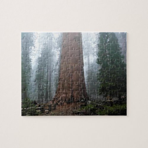General Sherman Tree Sequoia CA Jigsaw Puzzle