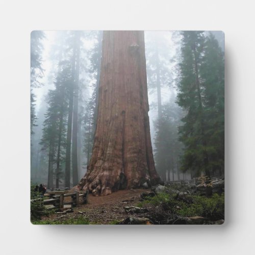 General Sherman Tree Sequoia CA Plaque