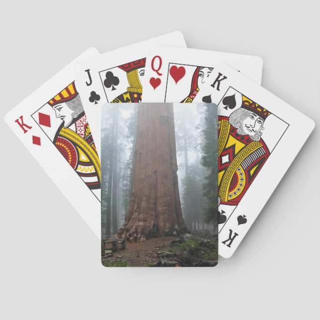 General Sherman Tree, Sequoia, CA Poker Cards (Back)