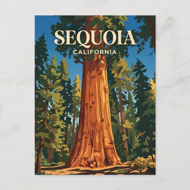 General Sherman Tree, Sequoia National Park USA Postcard (Front)