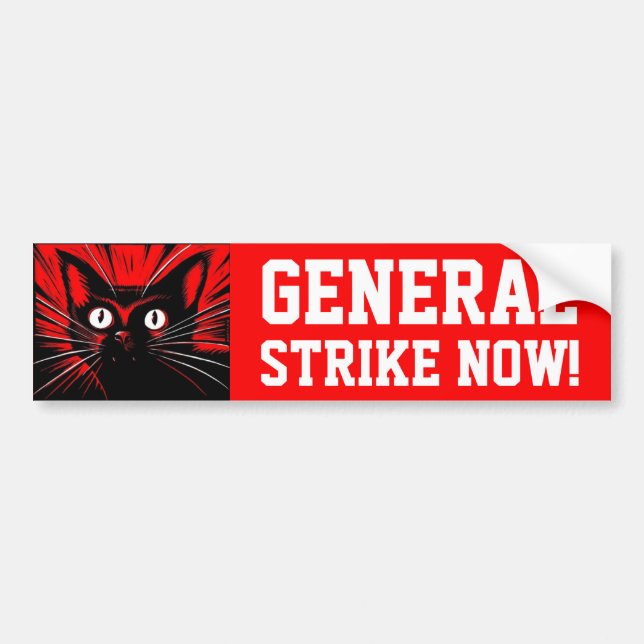 General Strike Now Bumper Sticker (Front)
