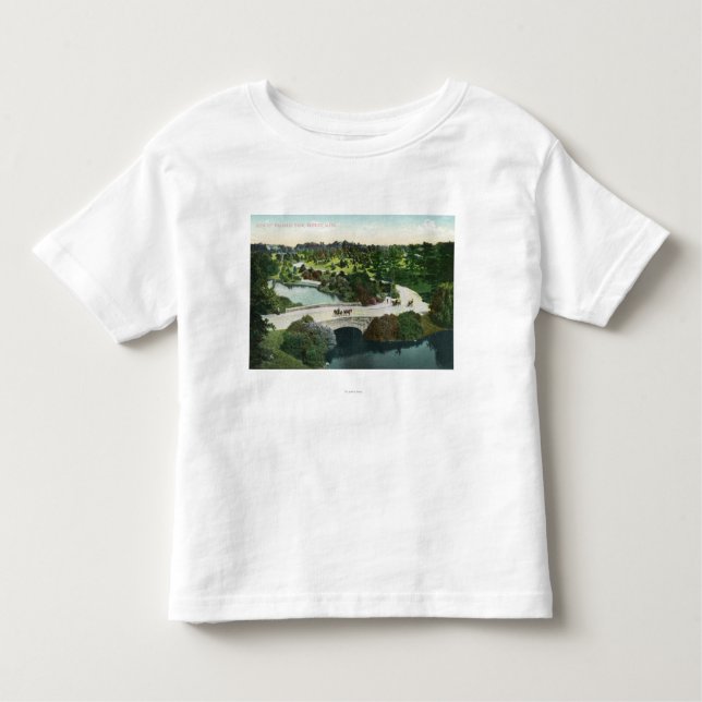 General View of Franklin Park Toddler T-shirt (Front)