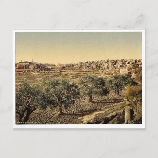 General view of the well of David, Bethlehem, Holy Postcard (Front)