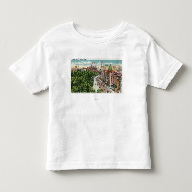 General View of Tremont Street Toddler T-shirt (Front)