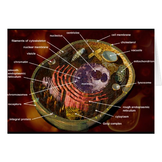 Generalized animal cell card