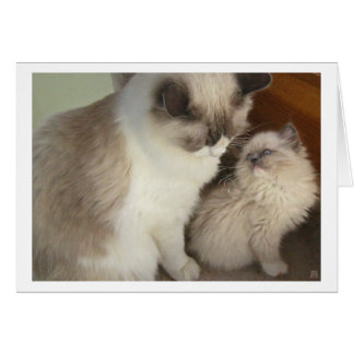Generations Cards