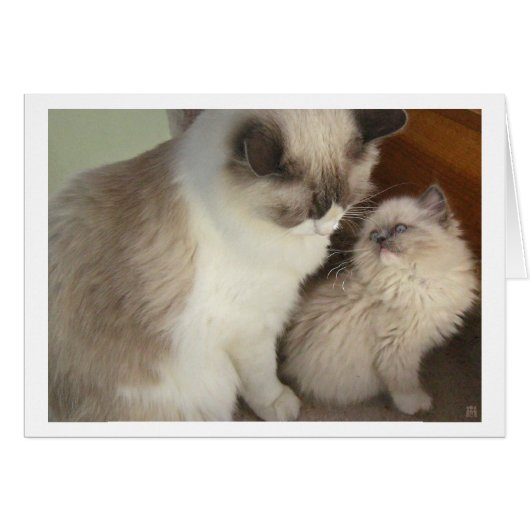 Generations Cards (Front Horizontal)