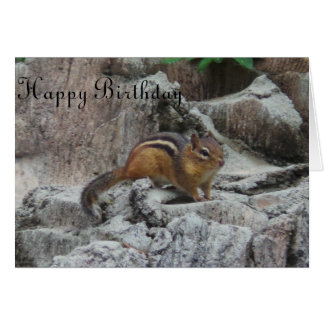 Chipmunk Birthday Cards | Zazzle