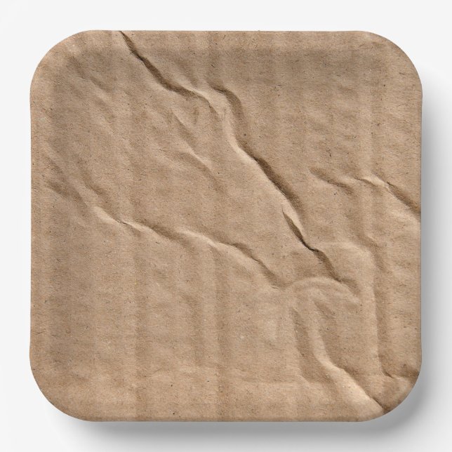 Generic Brown Cardboard Paper Plates (Front)