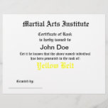 Generic Martial Arts Certificate
