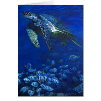 Generous Manini Cards