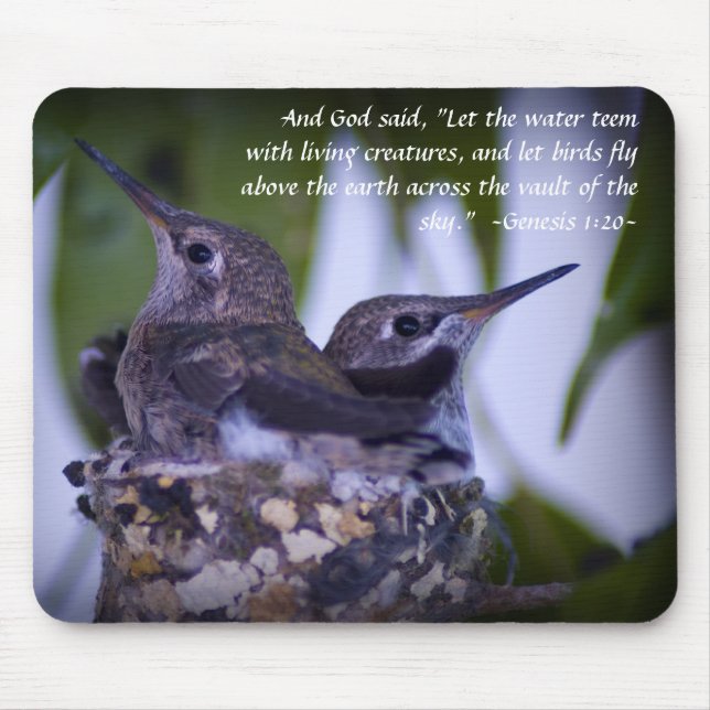 Genesis 1:20 Juvenile Hummingbirds Mousepad (Front)