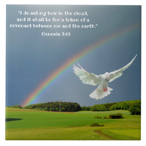 GENESIS 913 CERAMIC TILE