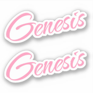 Genesis Decorative Name in Pink x2 Sticker