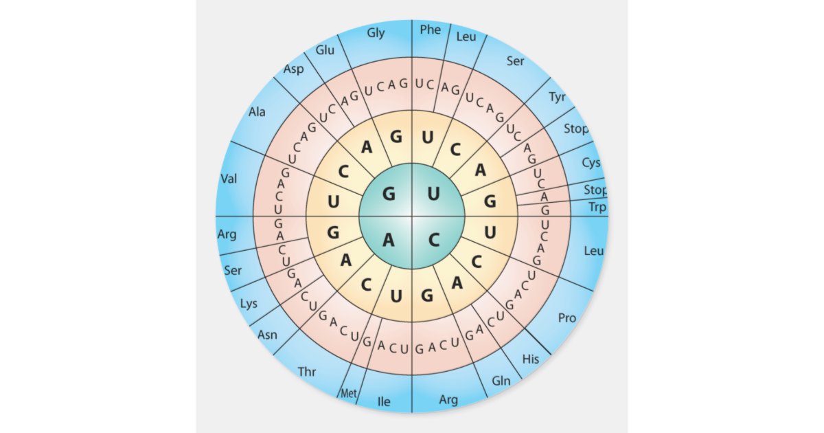 Genetic Code Classic Round Sticker | Zazzle