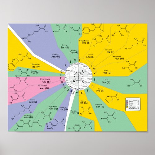 Genetic code complete chart infographs