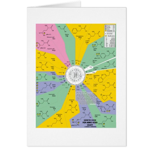 Genetic Code For Amino Acids (Chart Wheel) Cards (Front)