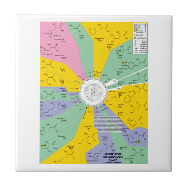 Genetic Code For Amino Acids (Chart Wheel) Ceramic Tile (Front)