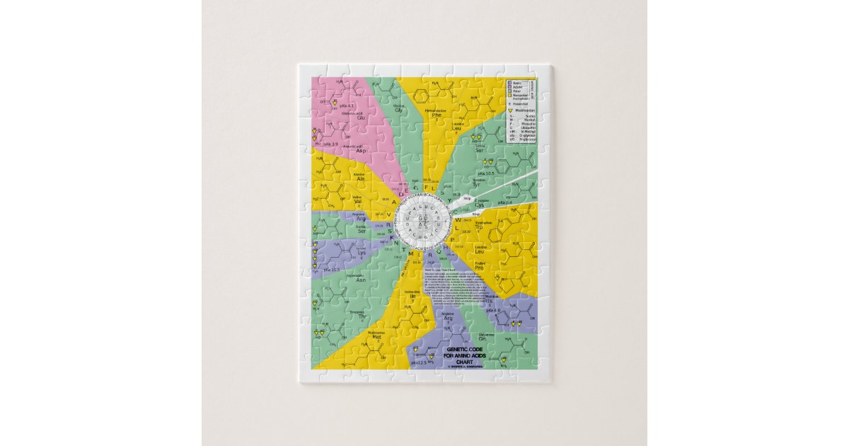 Genetic Code For Amino Acids (Chart Wheel) Jigsaw Puzzle | Zazzle