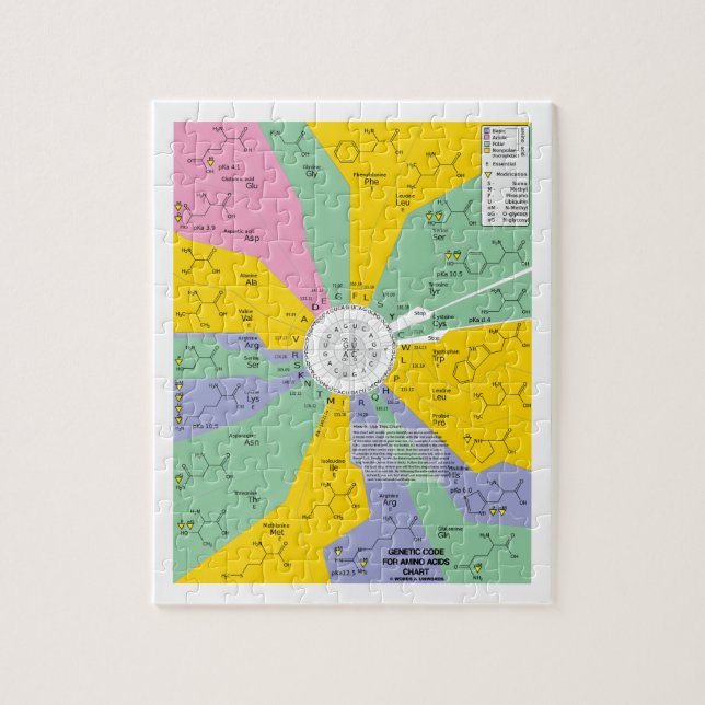 Genetic Code For Amino Acids (Chart Wheel) Jigsaw Puzzle (Vertical)