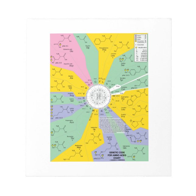 Genetic Code For Amino Acids (Chart Wheel) Notepad (Front)