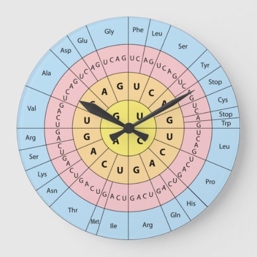 Genetic Code Large Clock