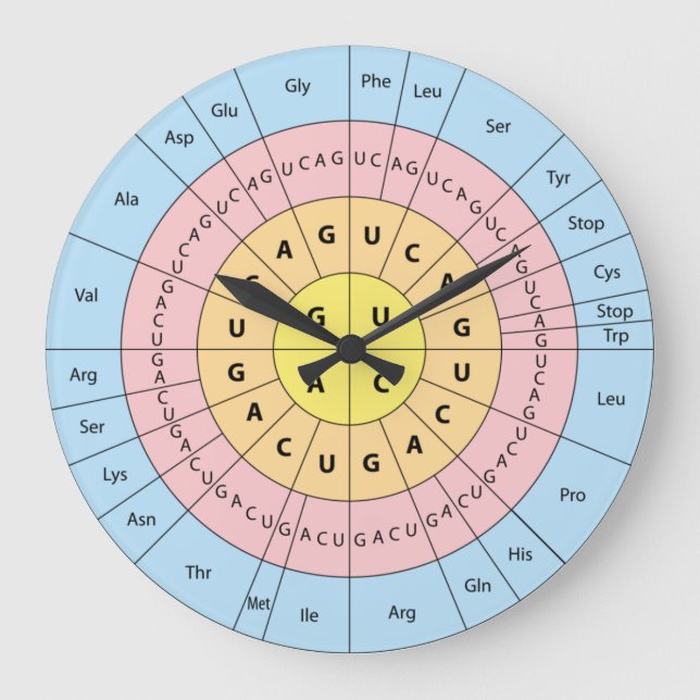 Genetic Code Large Clock (Front)
