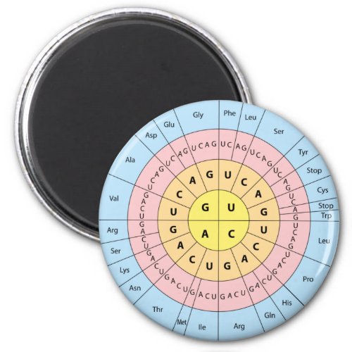 Genetic code magnet