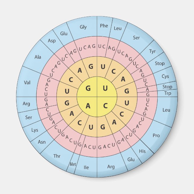 Genetic Code Magnet (Front)