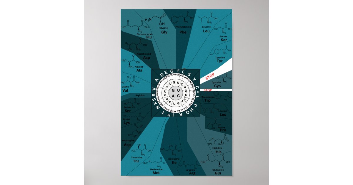 Genetic codon chart wheel of amino acids blue | Zazzle