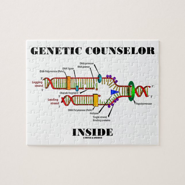 Genetic Counselor Inside (DNA Replication) Jigsaw Puzzle (Horizontal)