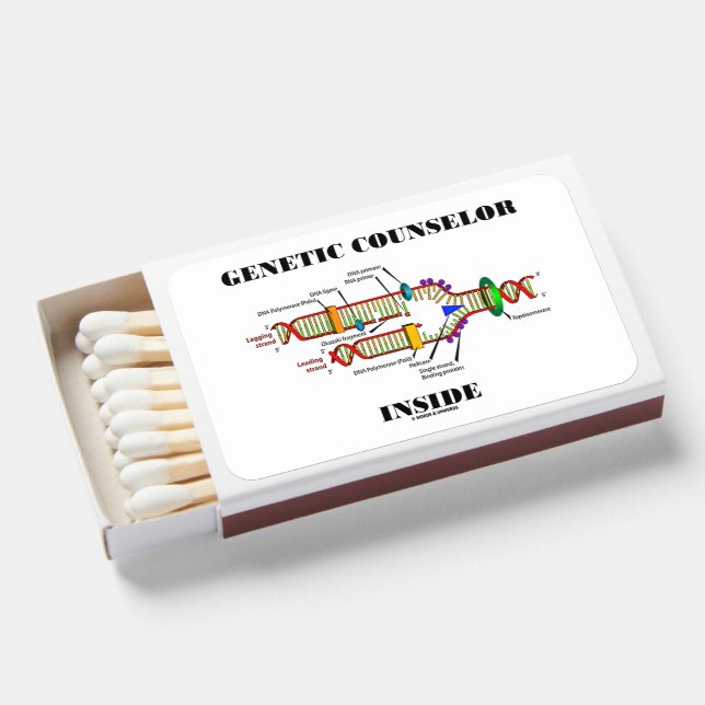Genetic Counselor Inside DNA Replication Matchboxes (Front Open)