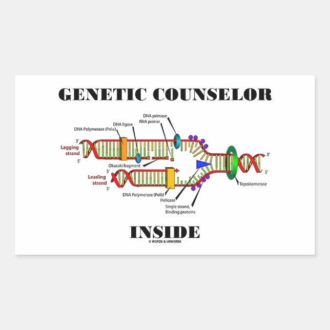 Genetic Counselor Inside (DNA Replication) Rectangular Sticker (Front)