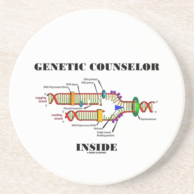 Genetic Counselor Inside (DNA Replication) Sandstone Coaster (Front)