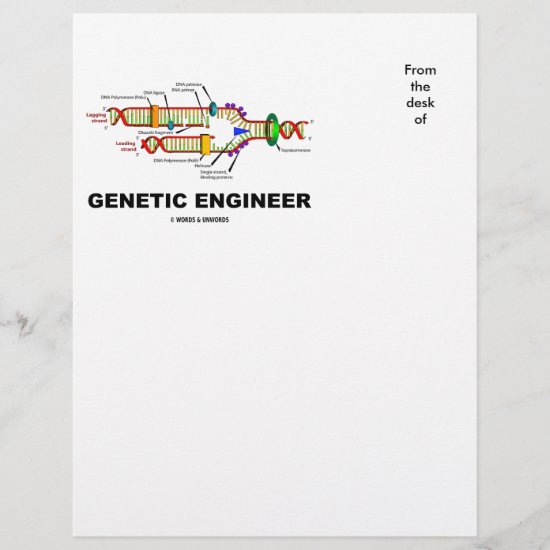 Genetic Engineer DNA Replication