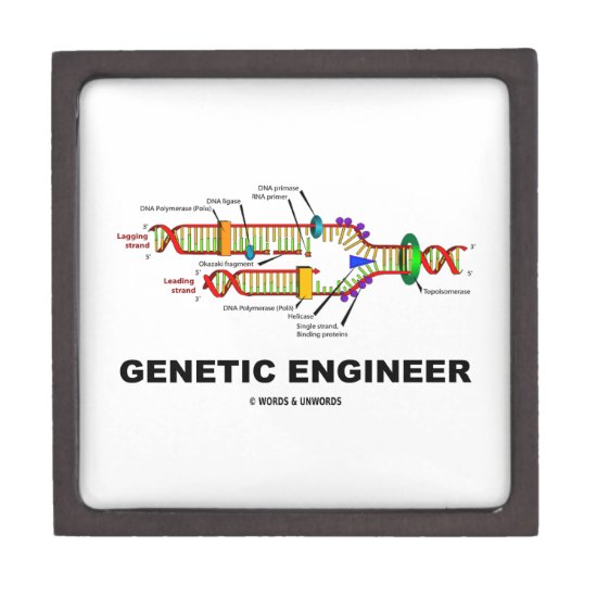 Genetic Engineer DNA Replication Jewelry Box