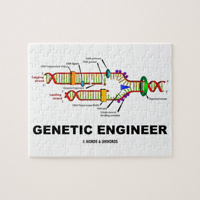 Genetic Engineer DNA Replication Jigsaw Puzzle (Horizontal)