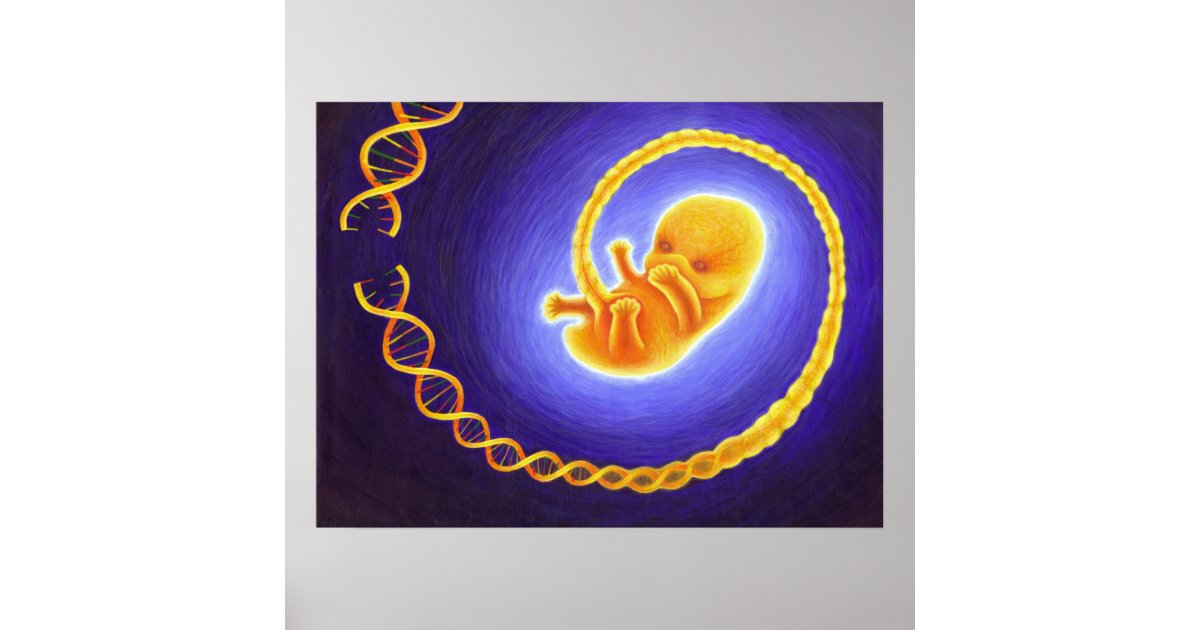 Genetic Engineering Poster | Zazzle