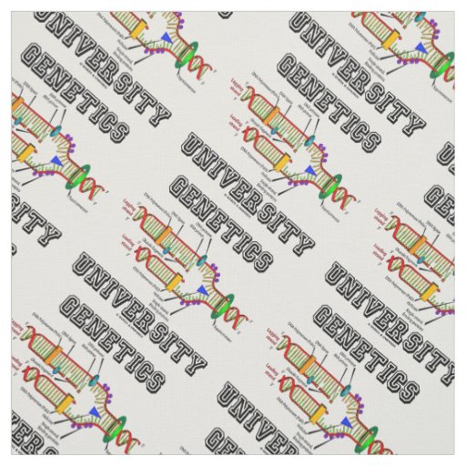 Genetics University DNA Replication Fabric