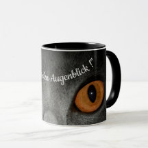 Genieße den Augenblick - mit Katzenaugen